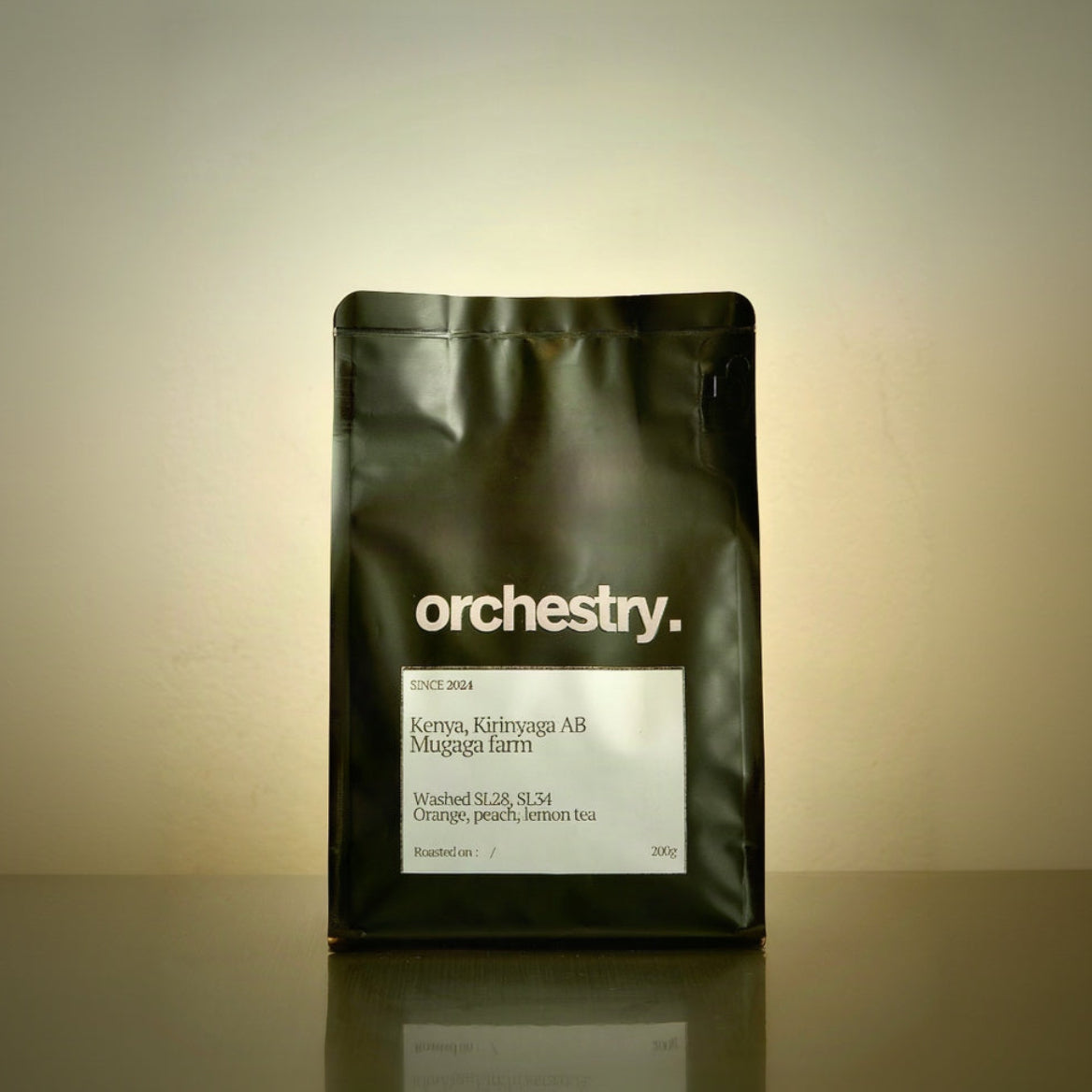 Kenya, Kirinyaga AB - Washed SL28 SL34