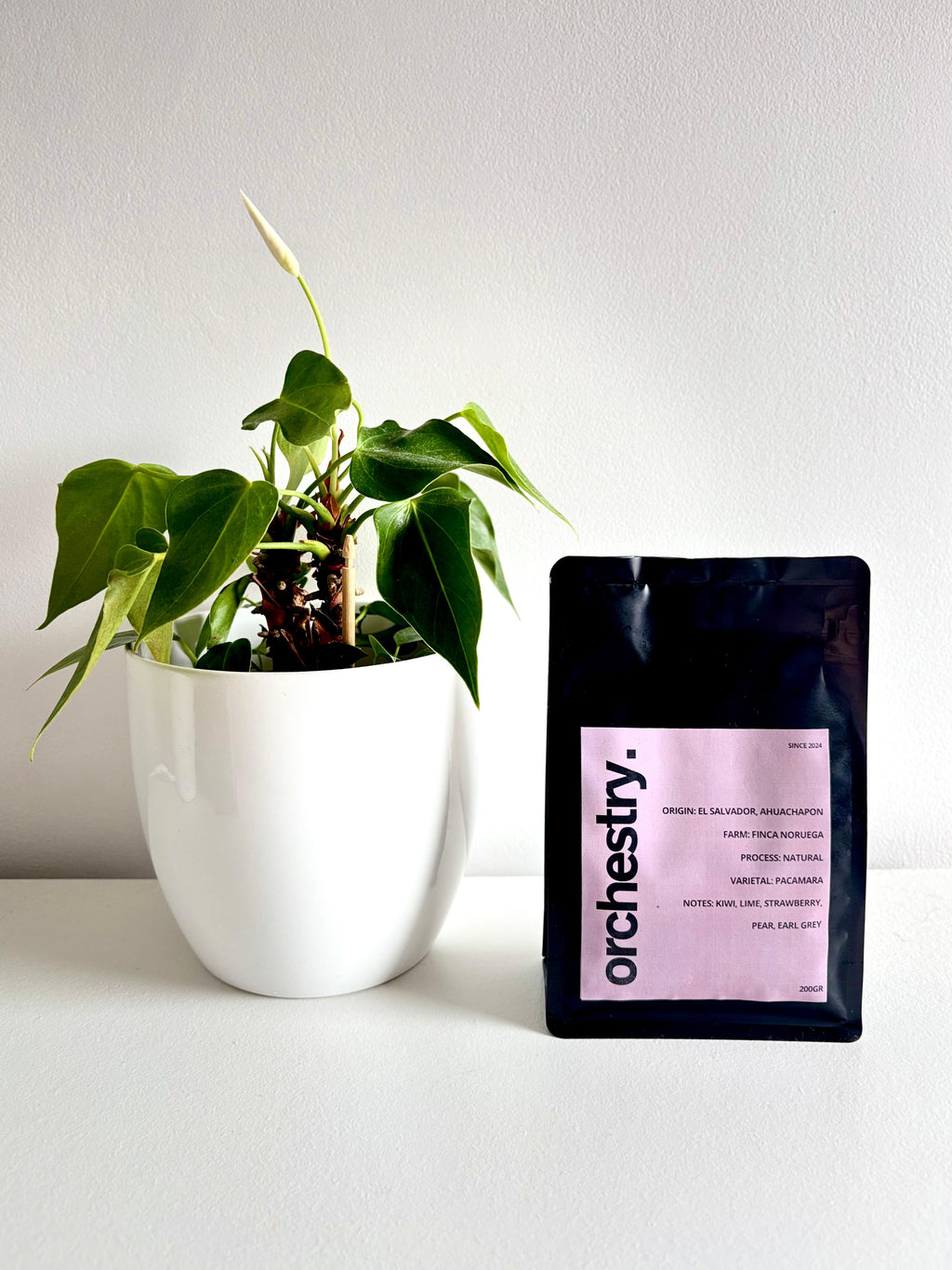 El Salvador, Finca Noruega- Natural Pacamara