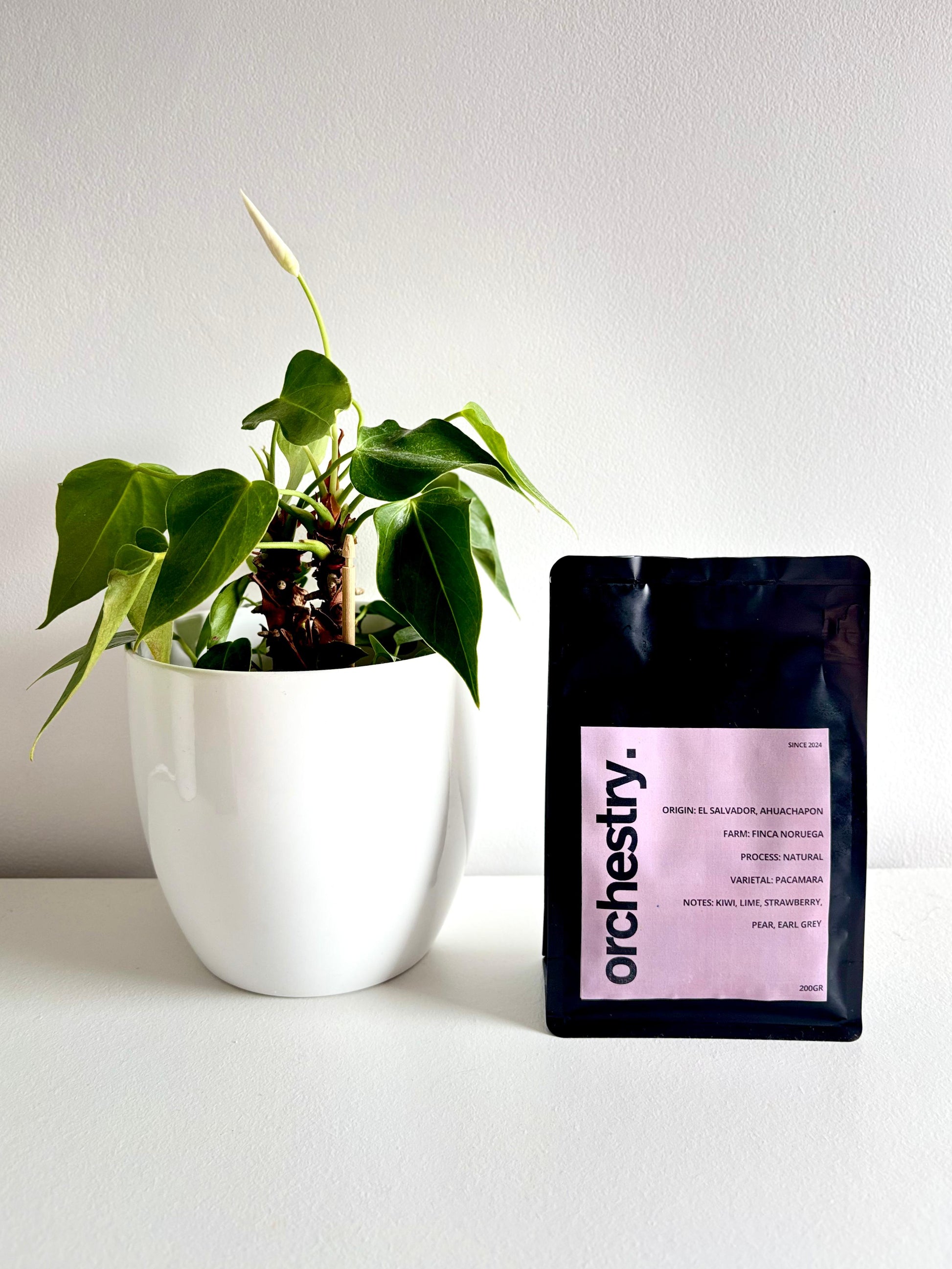 El Salvador, Finca Noruega- Natural Pacamara