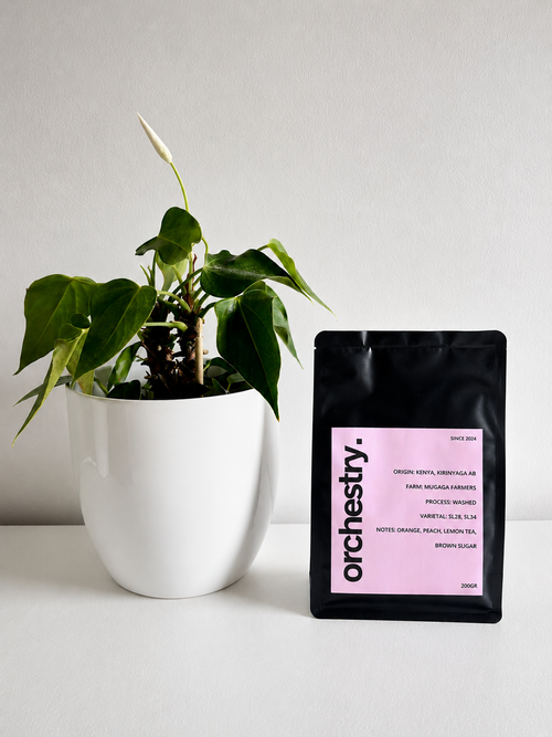 Kenya, Kirinyaga AB - Washed SL28 SL34