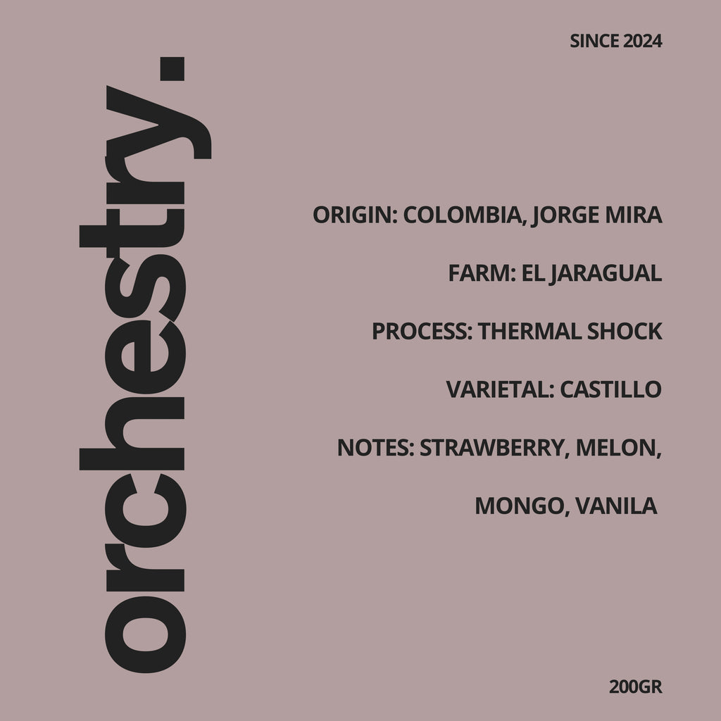 Colombia, El Jaragual- Thermal Shock Castillo